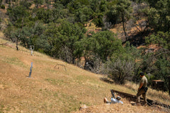 Intermediate Shotgun II (Pump-Action/Semi-Auto) - Trajectory and Dynamic Movement